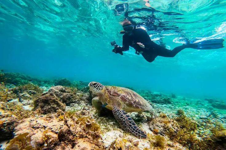 Gaja Go Dive & Inn Моалбоал Экстерьер фото